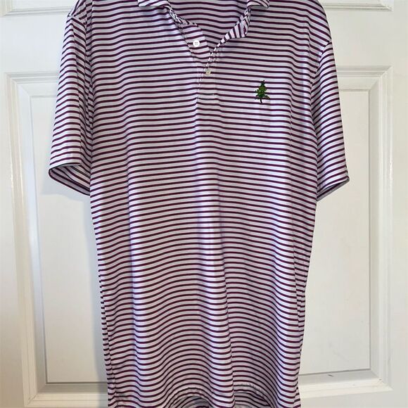 Striped Polo Shirt with Embroidered Logo - Picture 1 of 6